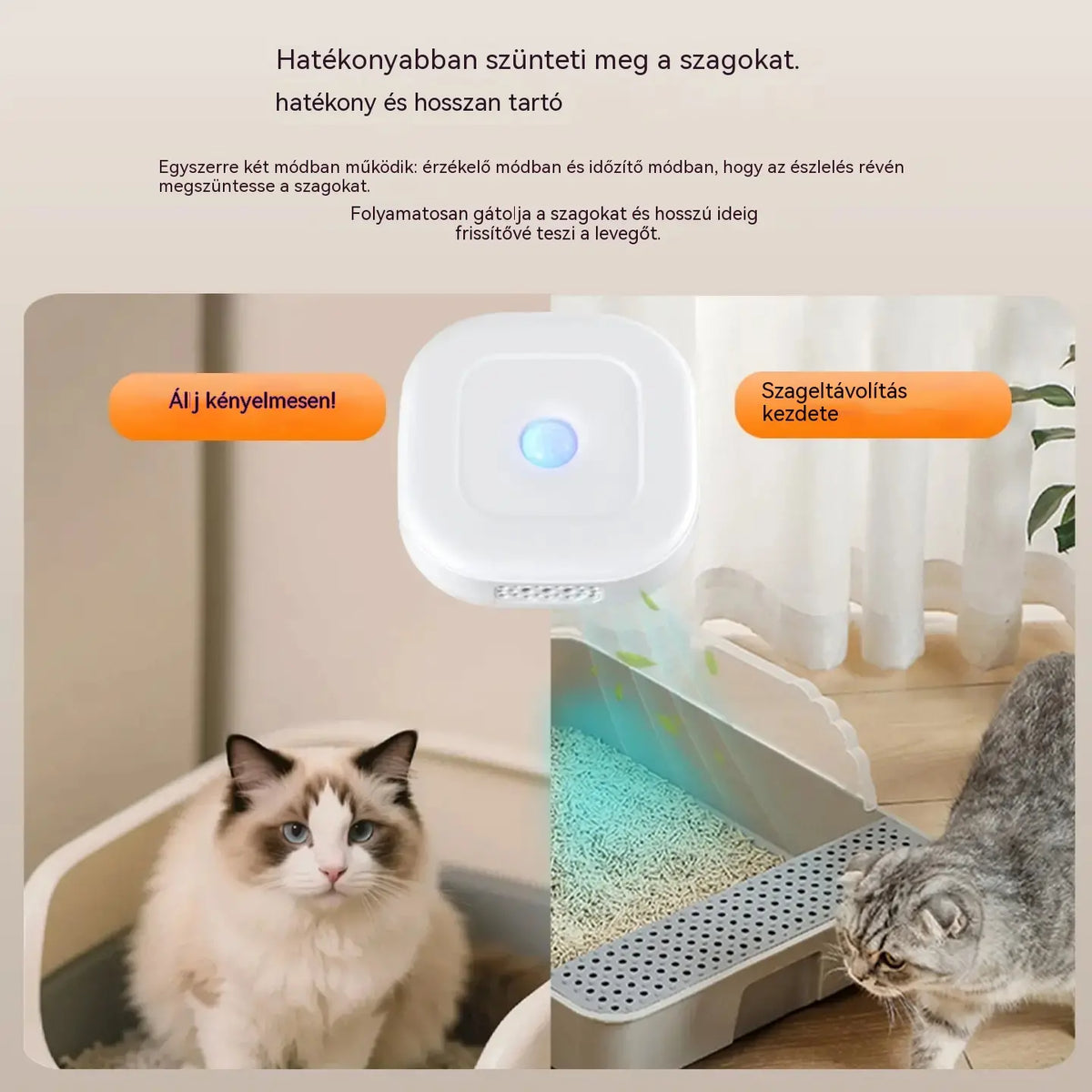 🔥【Korlátozott ideig érvényes, 50%-os kedvezmény】Okos kisállatszag-semlegesítő akasztópánttal